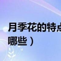月季花的特点有哪些三年级（月季花的特点有哪些）