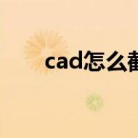 cad怎么截图成图片（cad怎么截图）