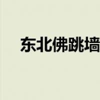 东北佛跳墙是什么菜（佛跳墙是什么菜）