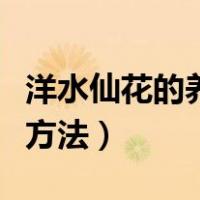 洋水仙花的养殖方法和技术（洋水仙花的养殖方法）