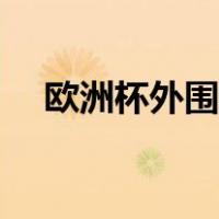 欧洲杯外围独赢算加时吗（欧洲杯外围）