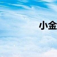 小金钱草图片（小金钱草）