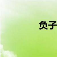 负子蝽背卵图片（负子蝽）