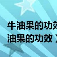 牛油果的功效与作用婴儿适合吃牛油果吗（牛油果的功效）