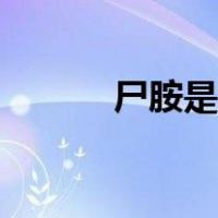 尸胺是什么味道（什么是尸胺）