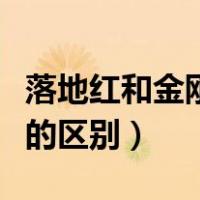 落地红和金刚菩提的区别（落地红与金刚菩提的区别）