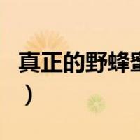 真正的野蜂蜜多少钱一斤（野蜂蜜多少钱一斤）