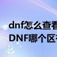 dnf怎么查看角色在哪个区（怎么查询自己在DNF哪个区有角色）