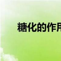 糖化的作用与目的（什么叫糖化作用）