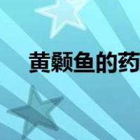 黄颡鱼的药用价值（黄颡鱼的营养价值）