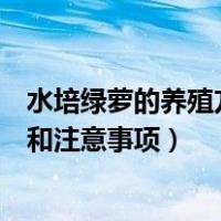 水培绿萝的养殖方法和注意事项视频（水培绿萝的养殖方法和注意事项）