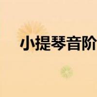 小提琴音阶教程（小提琴入门指法音阶）