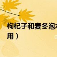 枸杞子和麦冬泡水喝的功效与作用（麦冬泡水喝的功效与作用）