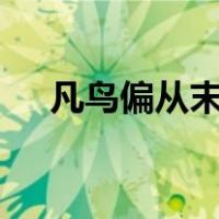 凡鸟偏从末世来都知爱慕此生才 啥意思