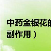 中药金银花的功效与副作用（金银花的功效与副作用）