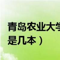 青岛农业大学是几本是一本吗（青岛农业大学是几本）