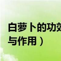 白萝卜的功效与作用百度百科（白萝卜的功效与作用）