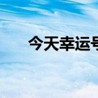 今天幸运号码是多少（今日幸运号码）