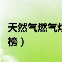 天然气燃气灶排行榜十强（天然气燃气灶排行榜）