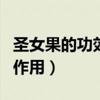 圣女果的功效与作用及禁忌（圣女果的功效与作用）