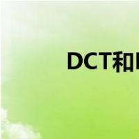 DCT和DSG（dct和dsg的区别）