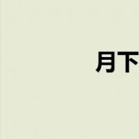 月下杏花图片（杏花图片）