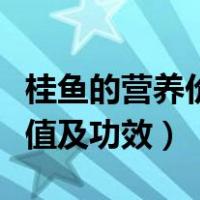 桂鱼的营养价值及功效与作用（桂鱼的营养价值及功效）