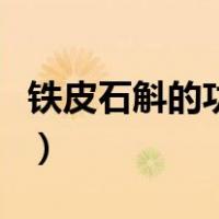 铁皮石斛的功效能治什么病（铁皮石斛的功效）