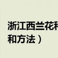 浙江西兰花种植时间和方法（西兰花种植时间和方法）