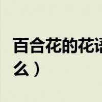 百合花的花语是什么意思（百合花的花语是什么）