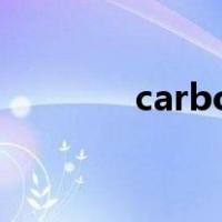 carbon dioxide是什么意思