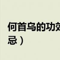 何首乌的功效与禁忌图片（何首乌的功效与禁忌）