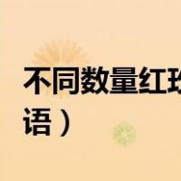 不同数量红玫瑰的花语（玫瑰花不同数量的花语）