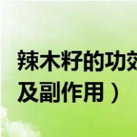 辣木籽的功效及副作用是什么（辣木籽的功效及副作用）