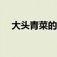 大头青菜的种植方法（青菜的种植方法）