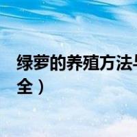 绿萝的养殖方法与注意事项（绿萝的养殖方法和注意事项大全）