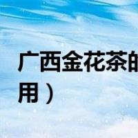 广西金花茶的功效与作用（金花茶的功效与作用）