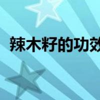 辣木籽的功效和作用是什么它有哪些副作用