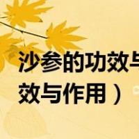 沙参的功效与作用禁忌及食用方法（沙参的功效与作用）