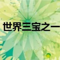 世界三宝之一辣木籽的功效（辣木籽的功效）