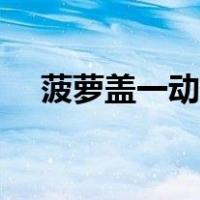 菠萝盖一动就响还疼怎么回事（菠萝盖）