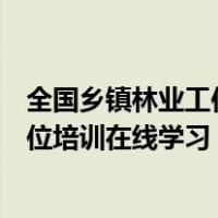 全国乡镇林业工作站岗位人员在线（全国乡镇林业工作站岗位培训在线学习）