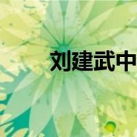 刘建武中医院医生怎么样（刘建武）