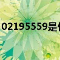 02195559是什么电话说惠民贷款不符合要求