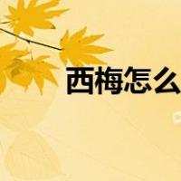 西梅怎么吃会拉肚子（西梅怎么吃）