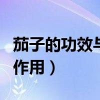 茄子的功效与作用及食用方法（茄子的功效与作用）