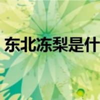 东北冻梨是什么梨做的（东北冻梨是什么梨）