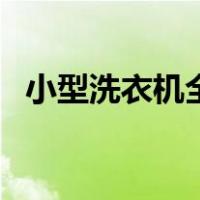 小型洗衣机全自动的（小型洗衣机全自动）