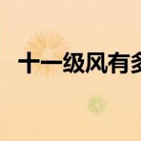 十一级风有多大威力（十级风有多大威力）