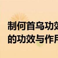 制何首乌功效与作用的功效与作用（制何首乌的功效与作用）